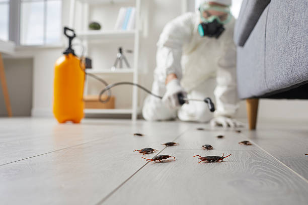 Post-Treatment Bed Bug Interceptor Monitoring in Chambersburg
