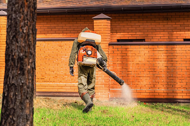 Bed Bug Clearance Verification and Documentation in Chambersburg